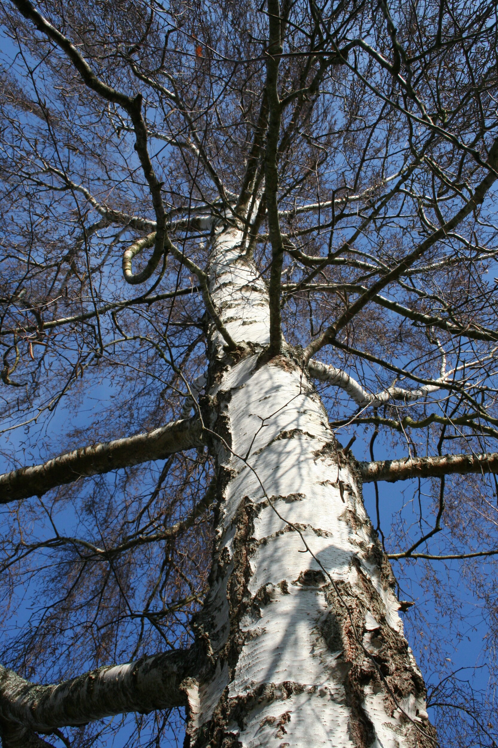 Domaine de Guerlande